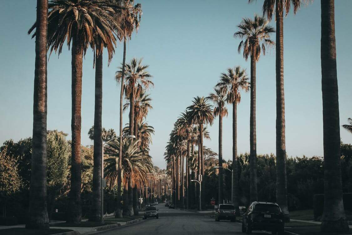 hollywood boulevard