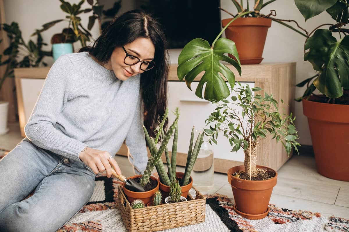 Movers in Los Angeles won't be able to take the plants this girl owns